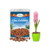 Riare 10 LBS Organic Expanded Clay Pebbles - 4mm-16mm Natural