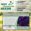 Outsidepride 5000 Seeds Annual Petunia Alderman Flower Seeds for Planting