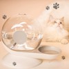 Angelpet Water Founder, Automatic Water Supply, 0.9 gal (2.8 L),