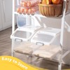Sunnyray 4 Pcs Rice Storage Container 22 lb Airtight Flour