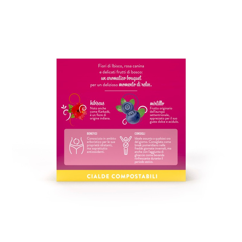 Caffè Borbone Mixed Berries Infusion - 72 Pods (4 packs