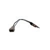 IMC Audio Antenna Adapter for 2005 2006 2007 2008 2009