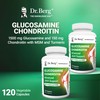 Dr. Berg Glucosamine Chondroitin MSM Turmeric & Boswellia - Advanced