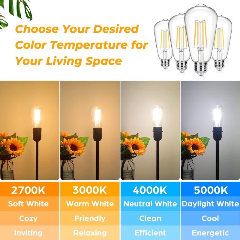 12-Pack Vintage LED Edison Bulbs 100W Equivalent 1400LM High Brightness
