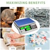 MEIYA Industrial Counting Scale, 30kg/0.5g Digital Coin Scale for Coin,