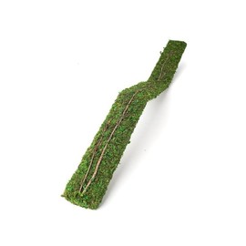 Natural Pack Galapagos 50705309: Flexible Bridge Terrarium Ornament, Green 36In