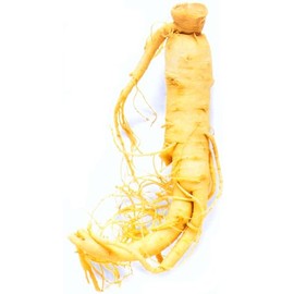 Ginseng, American 1 oz Organic