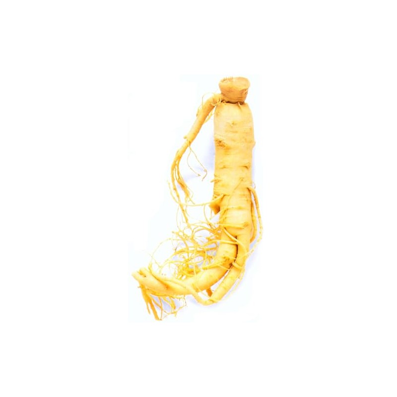 Ginseng, American 1 oz Organic