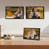 Vasemouh Picture Frame 20 x 30 cm Set of 3