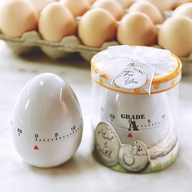 Kate Aspen About to Hatch Kitchen Egg Timer in Showcase