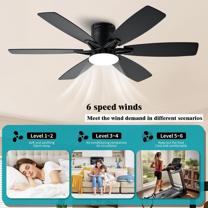 52inch Black Ceiling Fans with Lights and Remote/App Control, Low