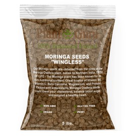 Moringa Seeds Wingless 5 lbs. Bulk - PKM1 Variety - Edible Snacking - Planting - Moringa Oleifera - Malunggay - Semillas De Moringa - Drumstick Tree - Non-GMO - 8,000 to 10,000 Seeds
