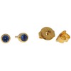 Sterile Gold-Plated Stud Earrings Made from Surgical Steel, Frame with