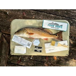 Fishin' Prints DIY Gyotaku Fish Printing Kit (36X18 Inches)