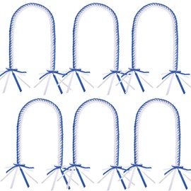 AUECOOME Graduation Ribbon Lei 2025 Class Necklace - Braided Gift for Men and Women Party Accessories (Blue and White, 1)