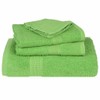 vidaXL Hand Towels, Pack of 2, Apple Green, 50 x