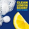 Dawn Platinum EZ-Squeeze Dish Soap Liquid, Dishwashing Liquid, Grease Removal,