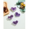 CrystalTears Amethyst Druze Heart Shape Natural Stone Druzy Segment Raw