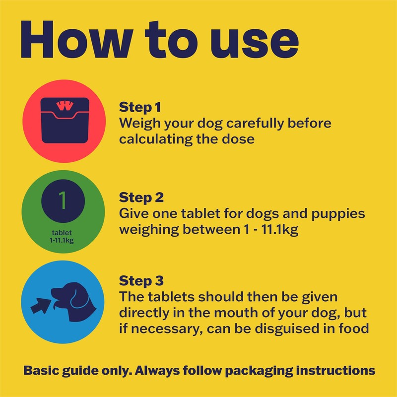 Bob Martin Bob Martin Clear Flea Treatment for Small Dogs
