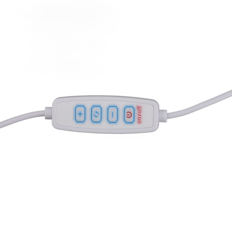 LED Vanity Lights with 10 Dimmable Bulbs USB Adjustable Color