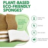 Biodegradable Natural Kitchen Sponge, Compostable Cellulose and Coconut Scrubber Eco-Friendly