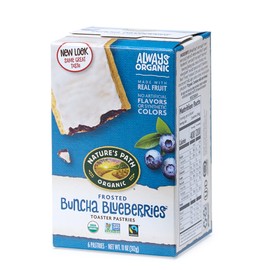 Nature's Path Organic Toaster Pastries, Frosted Buncha Blueberries, 6 Count