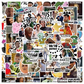 AUCEKO Sticker Pack of 100 Funny Meme Sticker Set Waterproof Vinyl Stickers for Laptop Children Cars Motorcycle Bicycle Skateboard Luggage Suitcase Computer Cool Meme Stickers Graffiti Decal