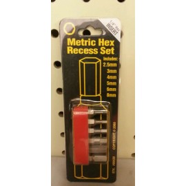 Bestway BEST WAY METRIC HEX RECESS INSERT BIT SET includes 2.5, 3, 4, 6, 8mm Bits