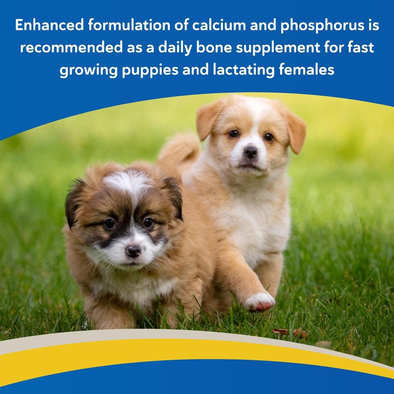 Doc Roy’s Healthy Bones Calcium Phosphorus Supplement Vitamin for Puppies,