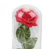 Rose in Glass Dome Lucky Beautiful Symbolism Romantic Enchanted Rose