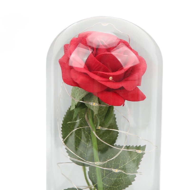 Rose in Glass Dome Lucky Beautiful Symbolism Romantic Enchanted Rose