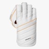 Dsc Wicket Keeping Gloves Krunch 100 Keeping Gears, Size: Mens