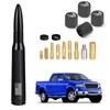 SZSAUTO Car Antenna Mast with American Flag for Ford F150