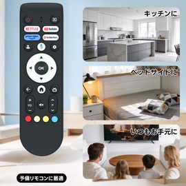 TV Remote Control FPD Remote Control 43V 50V 55V 65V 70V CG43-C2 CG50-C2 CG55-C2 CG65-C2 CG70-C2
