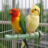 2 Pcs Parrot Perch, Bird Perch for Cage with Wavy