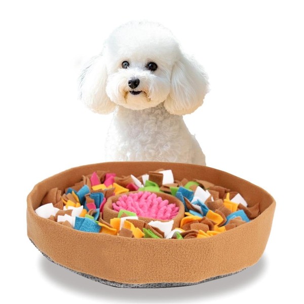 RGBRGB Premium Slow Feeder Snuffle Mat for Dogs - Interactive