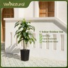VeriNatural Artificial Dracaena Tree 5FT - Fake Tree with Black
