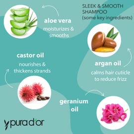 PURA D'OR Sleek & Smooth Shampoo and Conditioner Set For Frizz-Free & Silky Smooth Hair, Infused with Organic Aloe Vera, Argan Oil, Castor Oil, Bergamot Oil & Geranium Oil