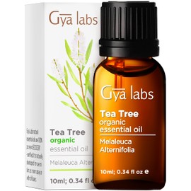 Gya Labs Australian Organic Tea Tree Oil for Skin - 100% Natural Therapeutic Tea Tree Oil Organic for Hair - Pure Tea Tree Oil for Face - Organic Tea Tree Essential Oil for Toenail & Scalp (10ml)