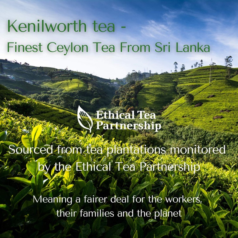 Simpli-Special Kenilworth OP Tea | 100% Natural Black Ceylon Loose