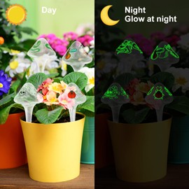 Kikunum Plant Glass Watering Globes,Clear Automatic Water Balls Device,Pot Garden Plant Glass Watering Globes