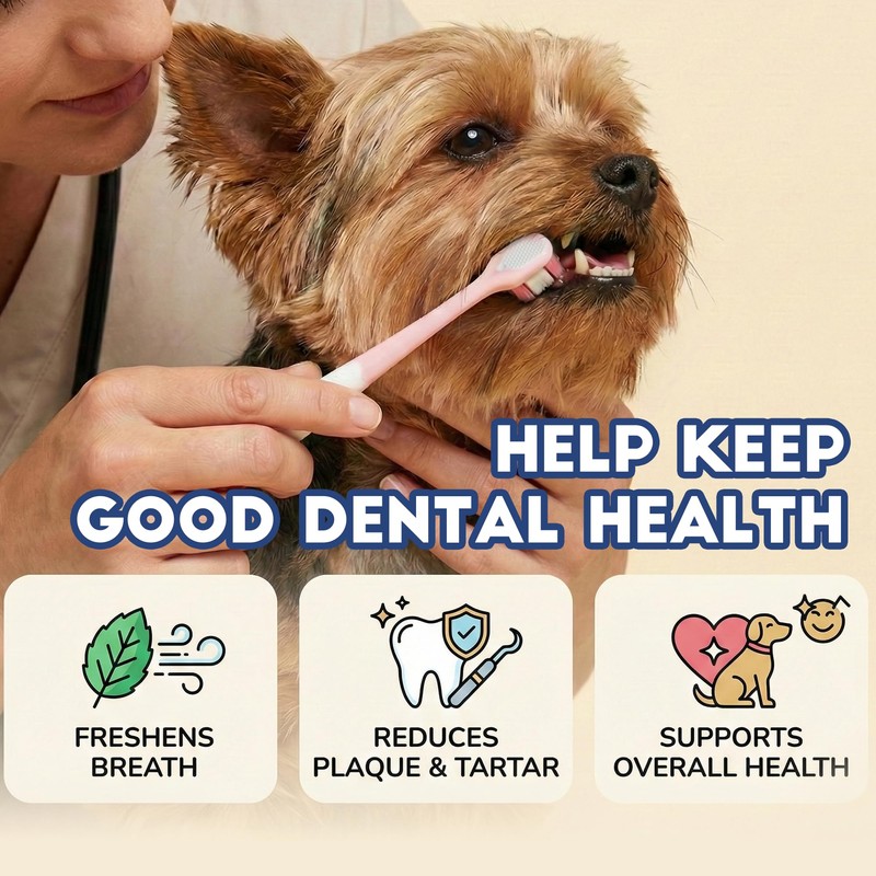 MoonyMars Small Dog Toothbrush, Puppy & Cat Tooth Brushing Kit,