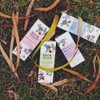 Mad Hippie AHA각질제거 잡티케어 피부재생 각질제거 피부재생 미백 세럼_엑스폴리에이팅 AHA
