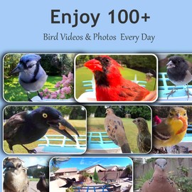 64GB Smart Bird Feeder with Camera Solar Powered, 2K 3MP HD Live Video &Playback on Phone, AI Identify +10,000 Bird Species, 2.4G WiFi Bird Feeder Camera Wireless Outdoor House-Bird Watching (Blue)