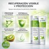 Medical Solution Gel Cicatrizante de Kiwi para Perros, gatos y