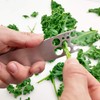Stainless Steel Herb Strippers, 11 Holes, Kitchen Leaf Stripping Tool