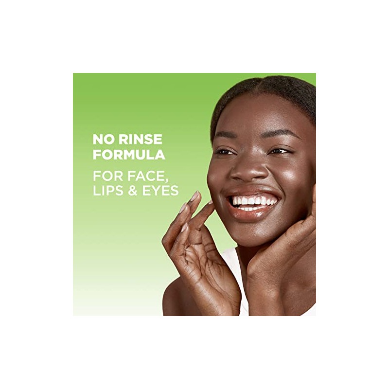 Garnier Skinactive Micellar Cleansing Water for Oily Skin, 2 Count