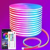 segrass 49ft LED neon Rope Lights 24V RGB LED neon