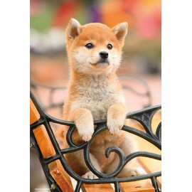 Beverly P33-194 300 Piece Jigsaw Puzzle, Waiting on a Bench, 10.2 x 15.0 inches (26 x 38 cm), Light Brown