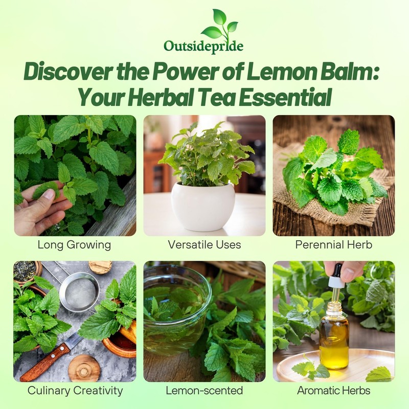 Outsidepride Lemon Bee Balm Seeds - 5,000 Perennial, Easy to